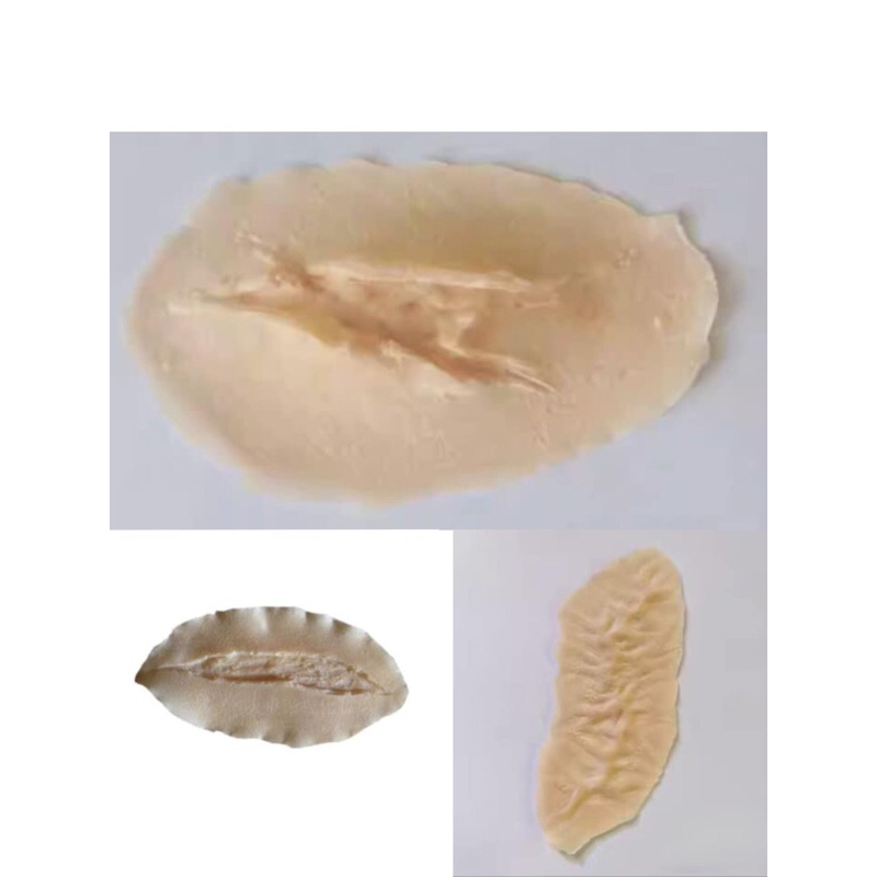 Vết thương sẹo giả hoá trang loại dán, máu khô, sẹo khô