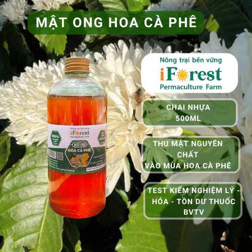 Mật ong hoa cà phê 500ml, Mật ong Nguyên chất 100% đến từ Đắk Lắk