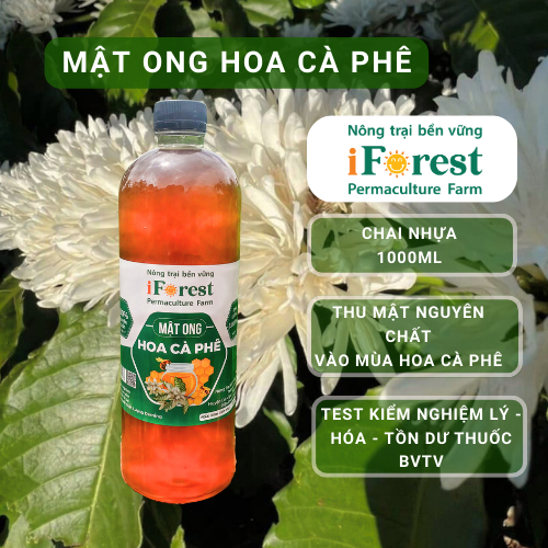 Mật ong hoa cà phê 1000ml, Mật ong hoa cà phê nguyên chất đến từ Đắk Lắk