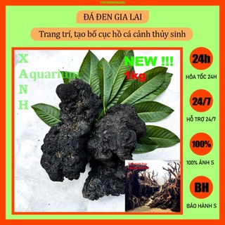 Đá đen Gia Lai trang trí thủy sinh 1kg