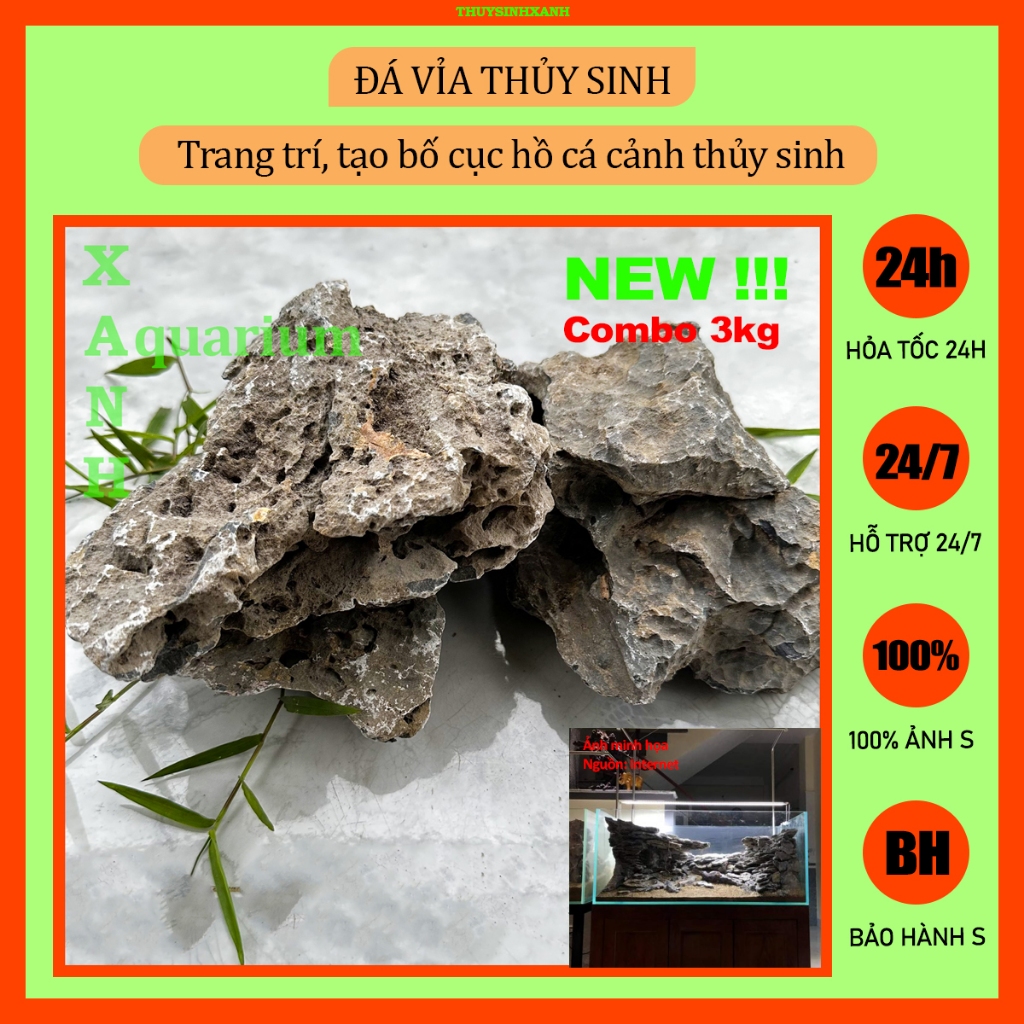 Đá vỉa trang trí thủy sinh