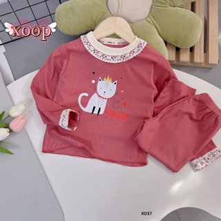 Bộ dài tay XOOP gân tăm lạnh ren cổ in họa tiết mèo,vịt cho bé gái (10-22kg) XD37,Đồ bộ thời trang quần áo Shop Phúc Yến