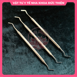 Cây trám Pakistan - Cây đưa trám - Dụng cụ nha khoa chính hãng
