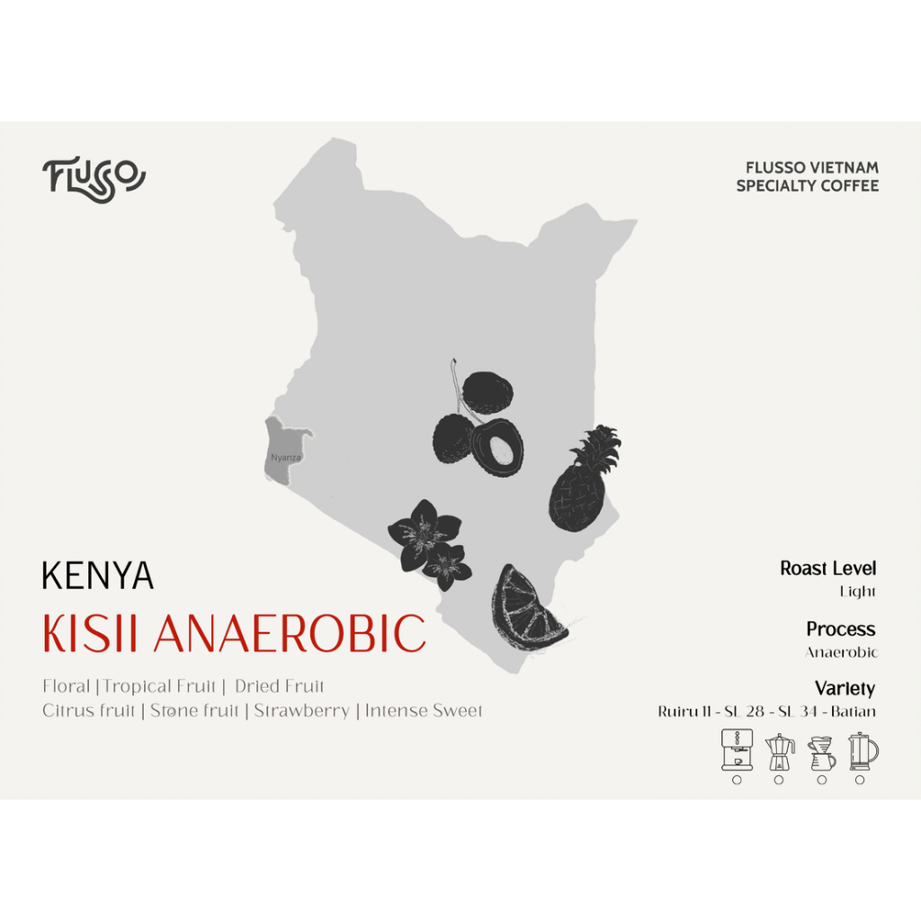 Cà phê Specialty Kenya Kisii Anaerobic