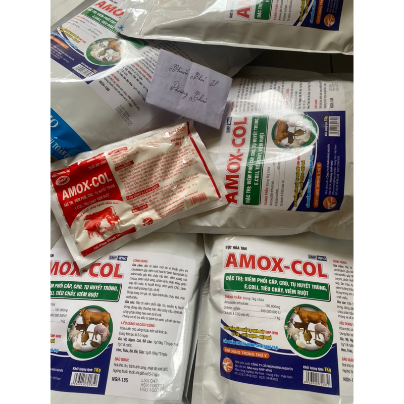 AmoxColis 10%  gói 100gr