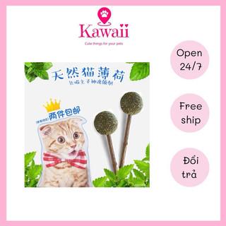 Cỏ mèo, catnip, cỏ bạc hà, kẹo mút cỏ mèo pet snack