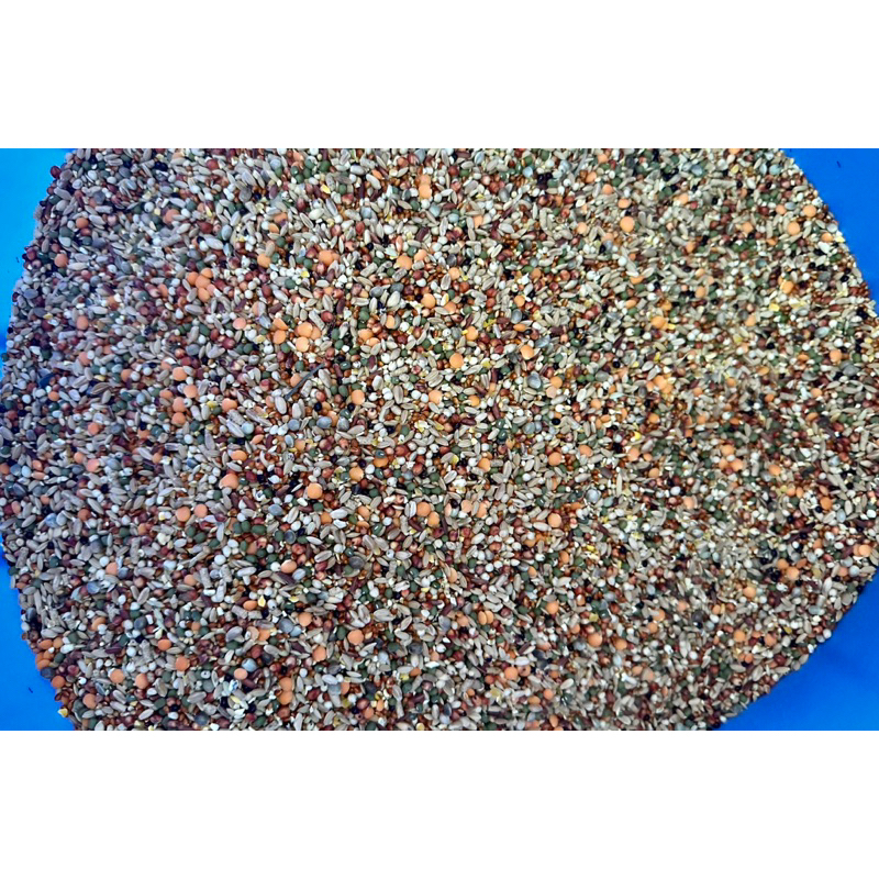 𝐓𝐡ứ𝐜 𝐀̆𝐧 𝐍𝐠ũ 𝐂ố𝐜 𝐂𝐡𝐢𝐦 𝐂𝐮 𝐆𝐚́𝐲.