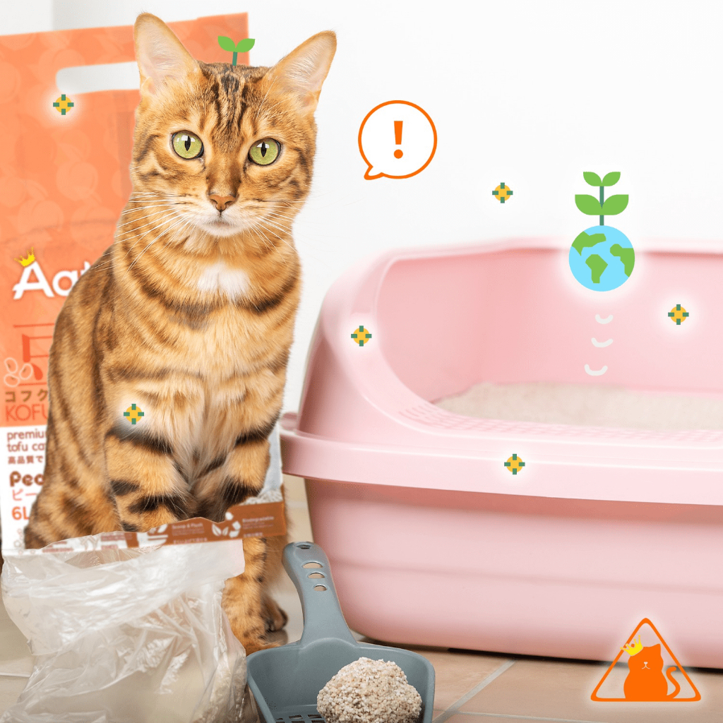 Cát Đậu Nành Aatas Cho Mèo 6L - Made in Singapore