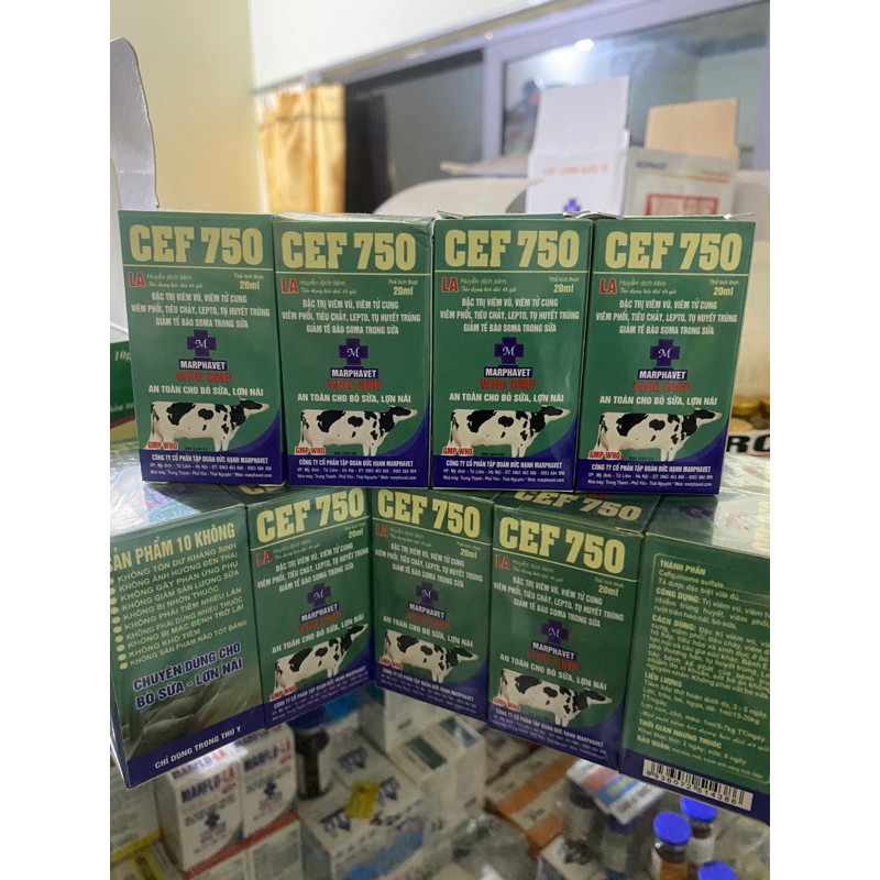 CEF 750 ( cefquinone 7.5%) chuyên dùng heo nái, bò sữa