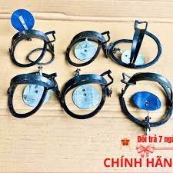 CẠM BẪY CHUỘT ĐEN THÔNG MINH