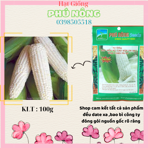Hạt Giống Bắp Nếp Nù Siêu Dẻo Phú Nông 100gram