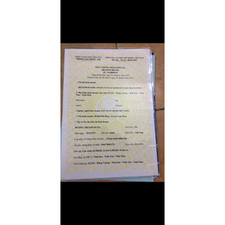 (Mua 10c tặng 1c) Bánh trung thu Thanh Dung