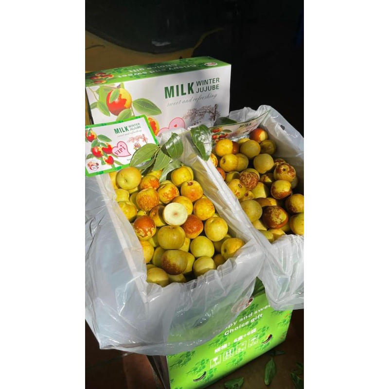 Hồng táo 1A - thùng xốp 1,5kg