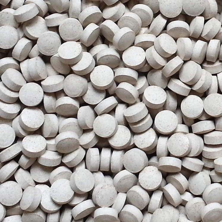 Vi sinh viên làm trong nước, giảm rêu tảo hại hồ cá