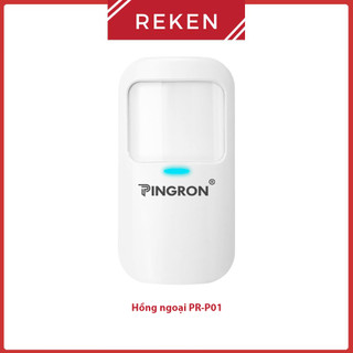 Phụ kiện thiết bị chống trộm Pingron