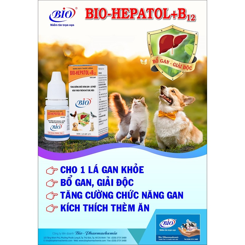 Chai Bổ Gan BIO HEPATOL + B12 Tăng Cường Chức Năng Gan, Giảm Gan Nhiễm Mỡ Cho Chó Mèo