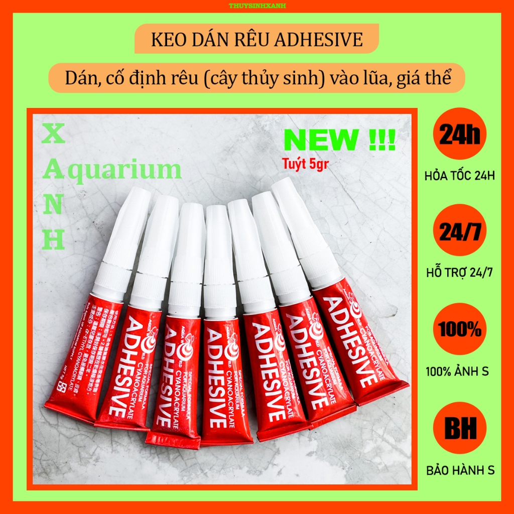 Keo dán cây thủy sinh ADHESIVE
