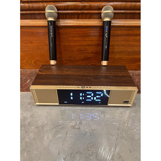 Loa karaoke bluetooth hàng mỹ Peterhot A133 tặng 2 micro không dây