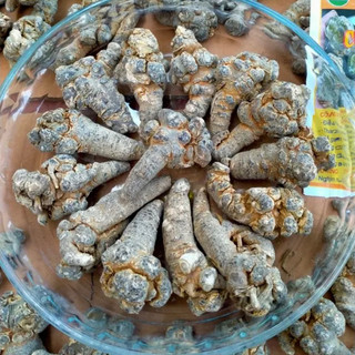 Củ tam thất bắc khô 500gram hà giang