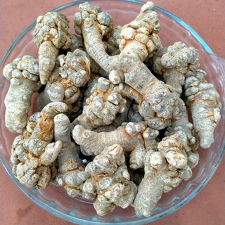 Củ tam thất bắc khô 500gram hà giang