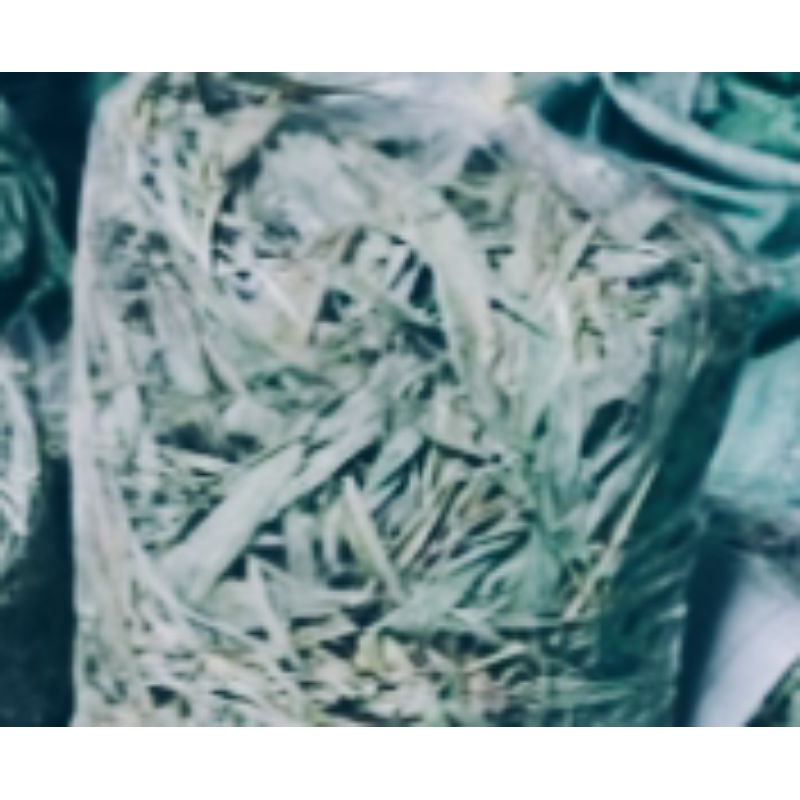 500gr Lá tre gai rừng khô chuẩn/ trà lá tre gai rừng