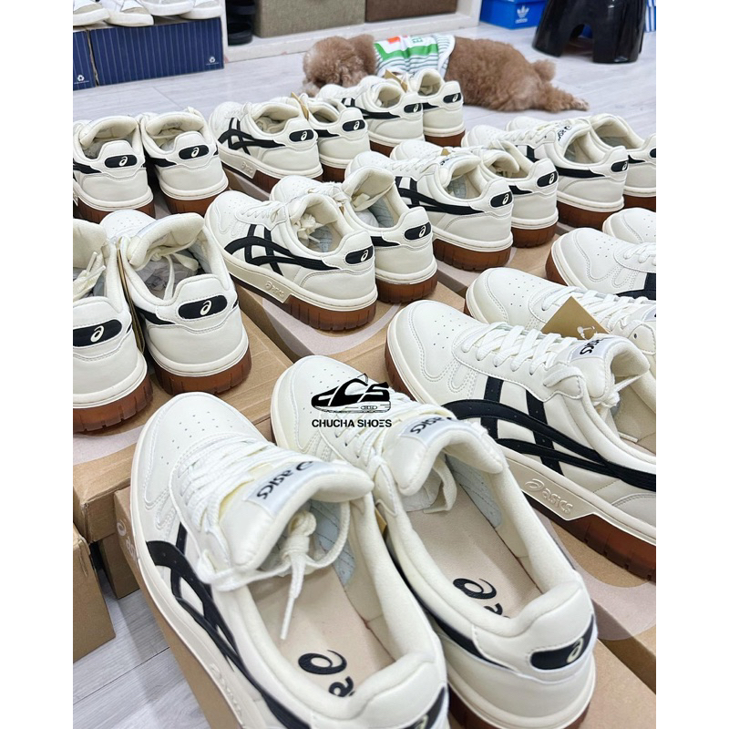 Giày Thể Thao Sneaker Asics Court MZ Cream Black Gum Authentic