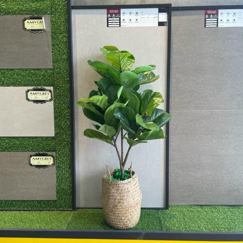 Cây bàng Singapore giả cao 1m decor siêu xinh