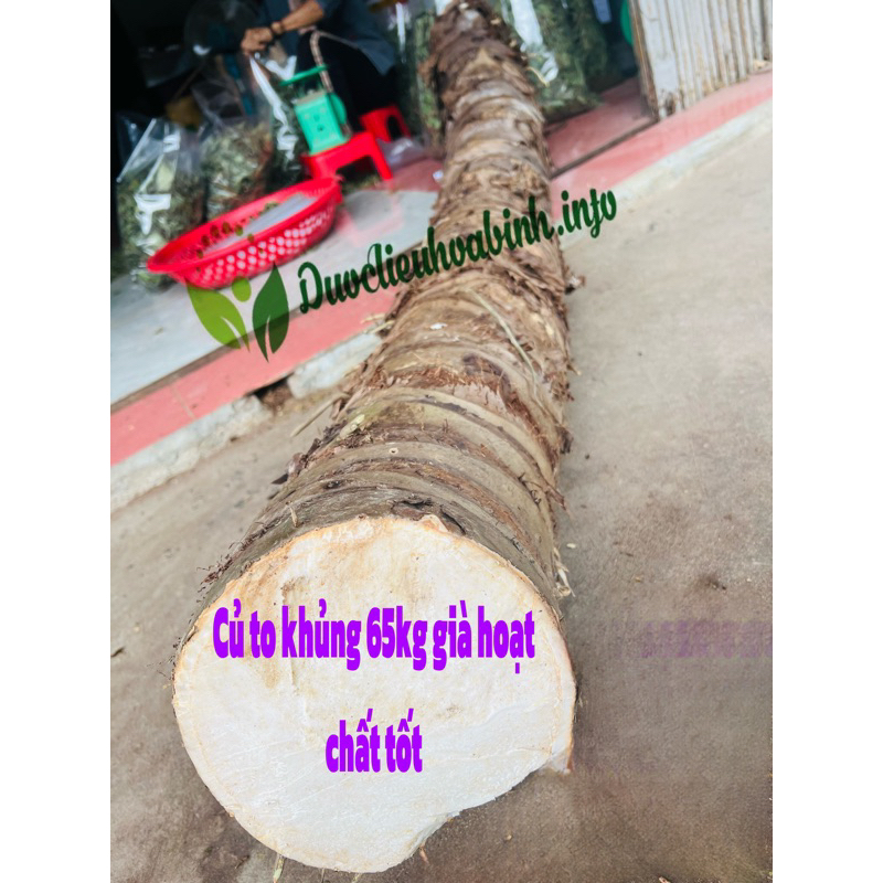 Củ Bạc Hà Núi lâu năm 5kg
