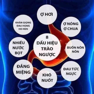 Dạ dày - Đại tràng Hồng vận đường