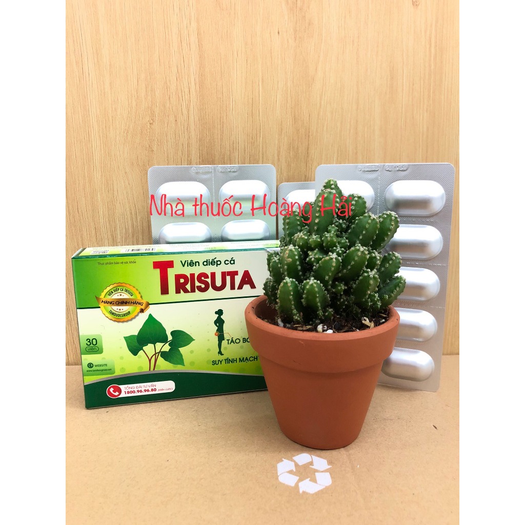 VIÊN GIẤP CÁ TRISUTA Hộp 30v