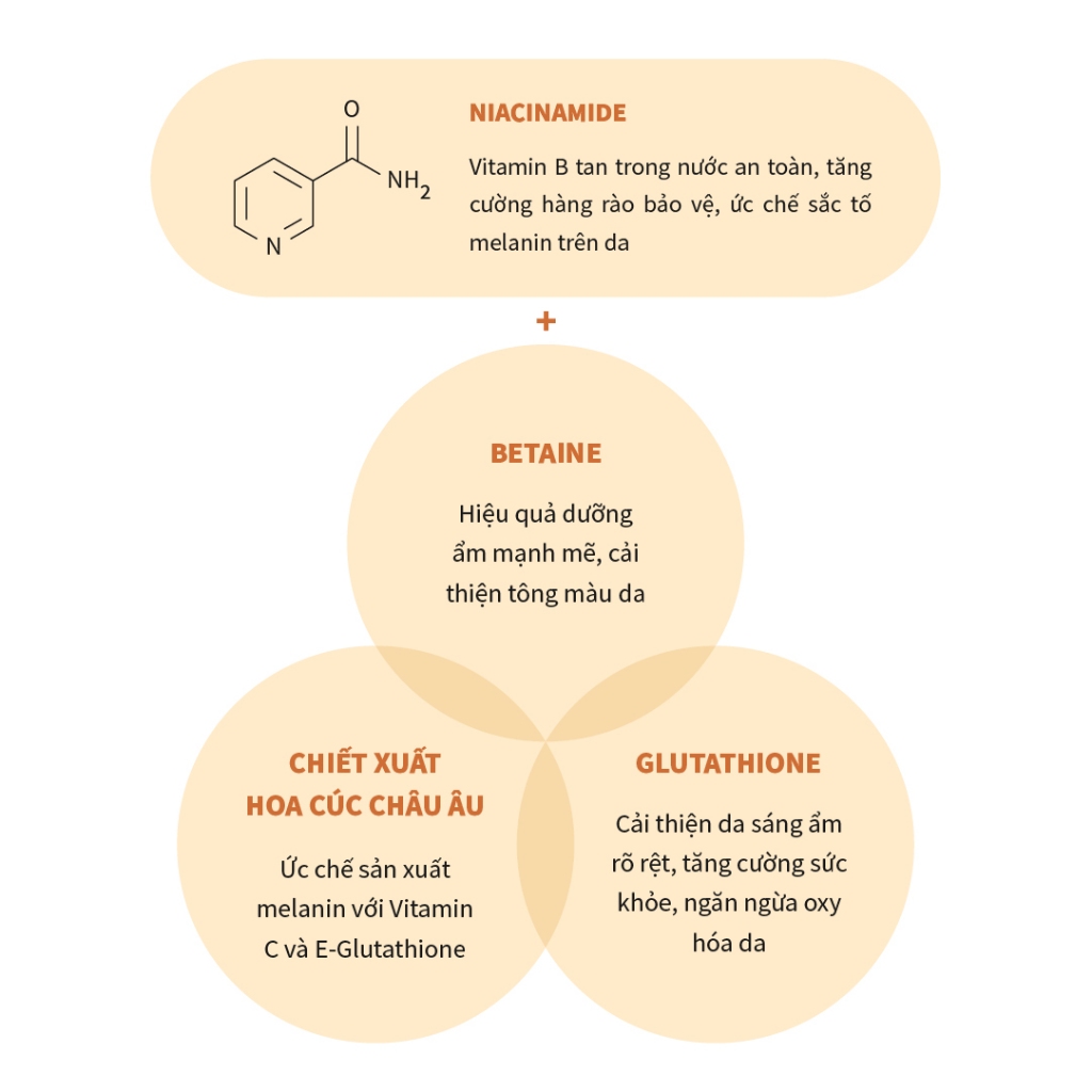 Combo dưỡng ẩm sáng đều màu da Caryophy Glass Skin