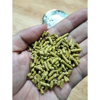 Cám gà 1kg, thức ăn cho gà, gián, dế, sâu - hoài nam pet