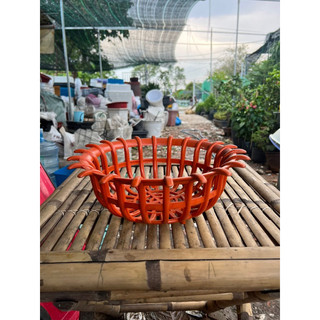 Chậu nhựa trồng lan - đk 29cm, cao 11cm