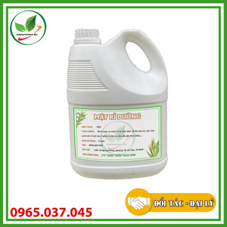 Mật rỉ đường. Ủ dịch chuối, phân hữu cơ, nuôi cấy vi sinh trồng hoa hồng, cây cảnh bằng đất sạch, xơ dừa. Can 5kg