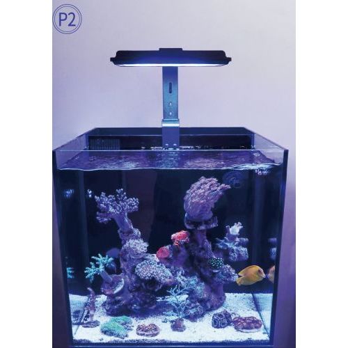 Đèn led chuyên dụng cho hồ cá biển | Maxspect MJ-165 và Maxspect MJ-130