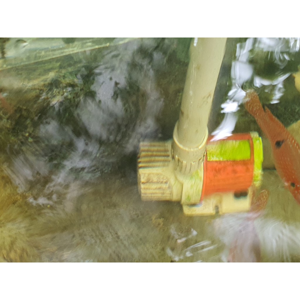 Máy bơm tăng áp tiết kiệm điện 1000 L/H 10W, bơm DC 12V có điều chỉnh tăng giảm lưu lượng nước