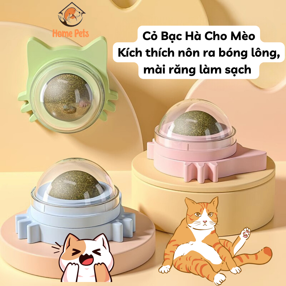 Cỏ Bạc Hà Cho Mèo Gắn Tường Giảm Stress, Hỗ Trợ Tiêu Hóa - Tiêu Búi Lông - Cân Bằng Dinh Dưỡng Cho Mèo Home Pet