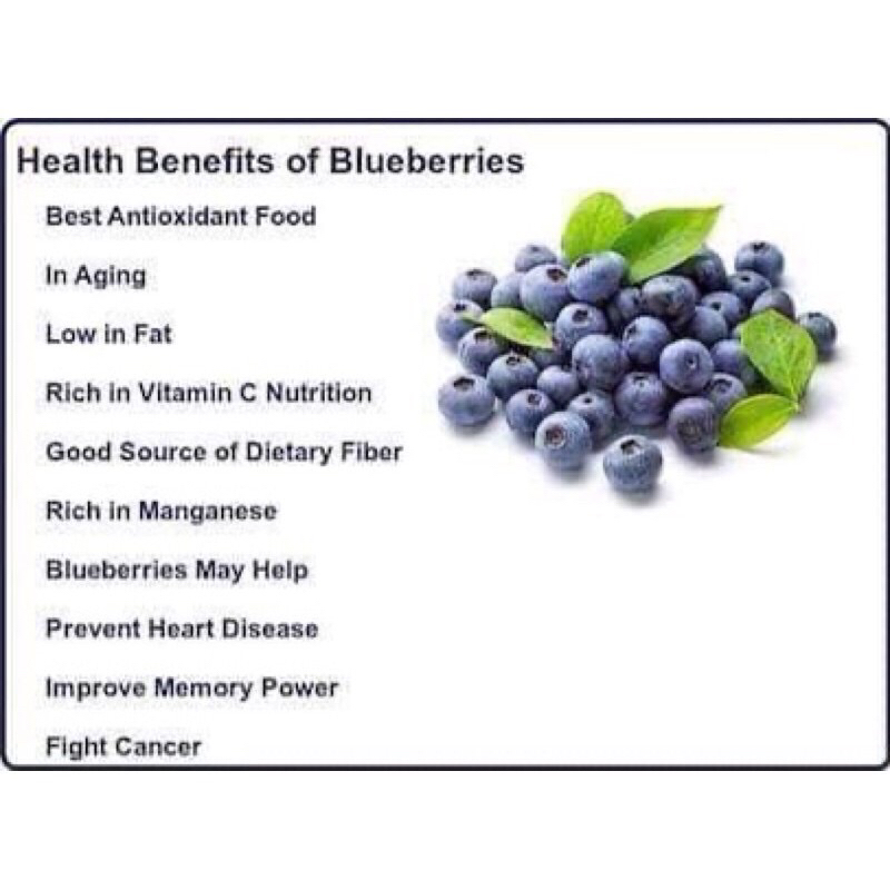 ☘️🍇 Việt Quất Blueberry Sấy Khô Kirkland Signature Whole Dried Blueberries 567g cúa Mỹ🍇🍀