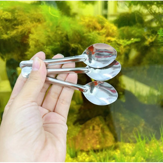 Muỗng thìa cafe, thìa cafe inox loại nhỏ, sáng bóng, không rỉ