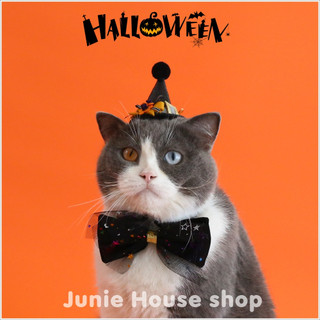 Phụ kiện hoá trang Halloween cho chó mèo