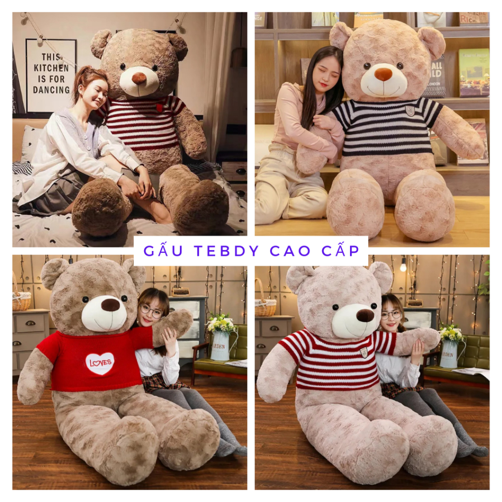 Gấu bông Teddy hàng cao cấp lông xoăn mới nhất nhập khẩu đủ size 1m ,1m2