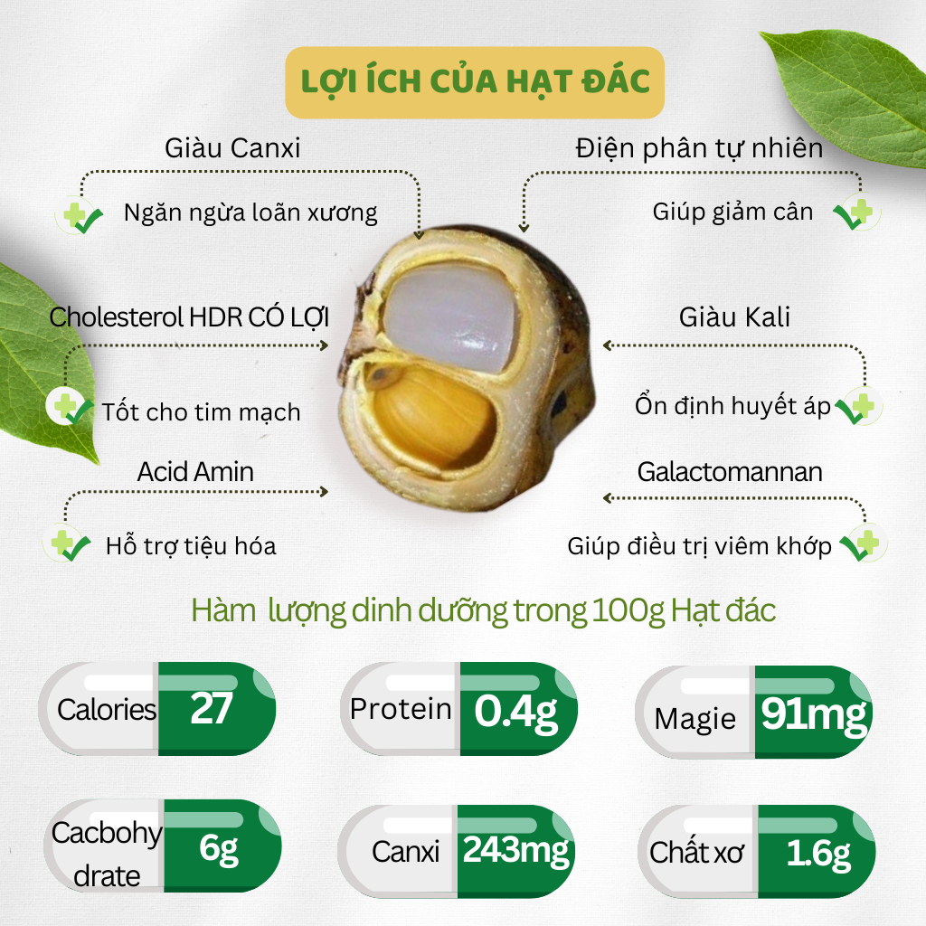 Hạt đác tươi loại nhỏ dẻo Kat Organic Food túi 1Kg dùng làm hạt đác rim và nấu chè ăn giảm cân không chất bảo quản