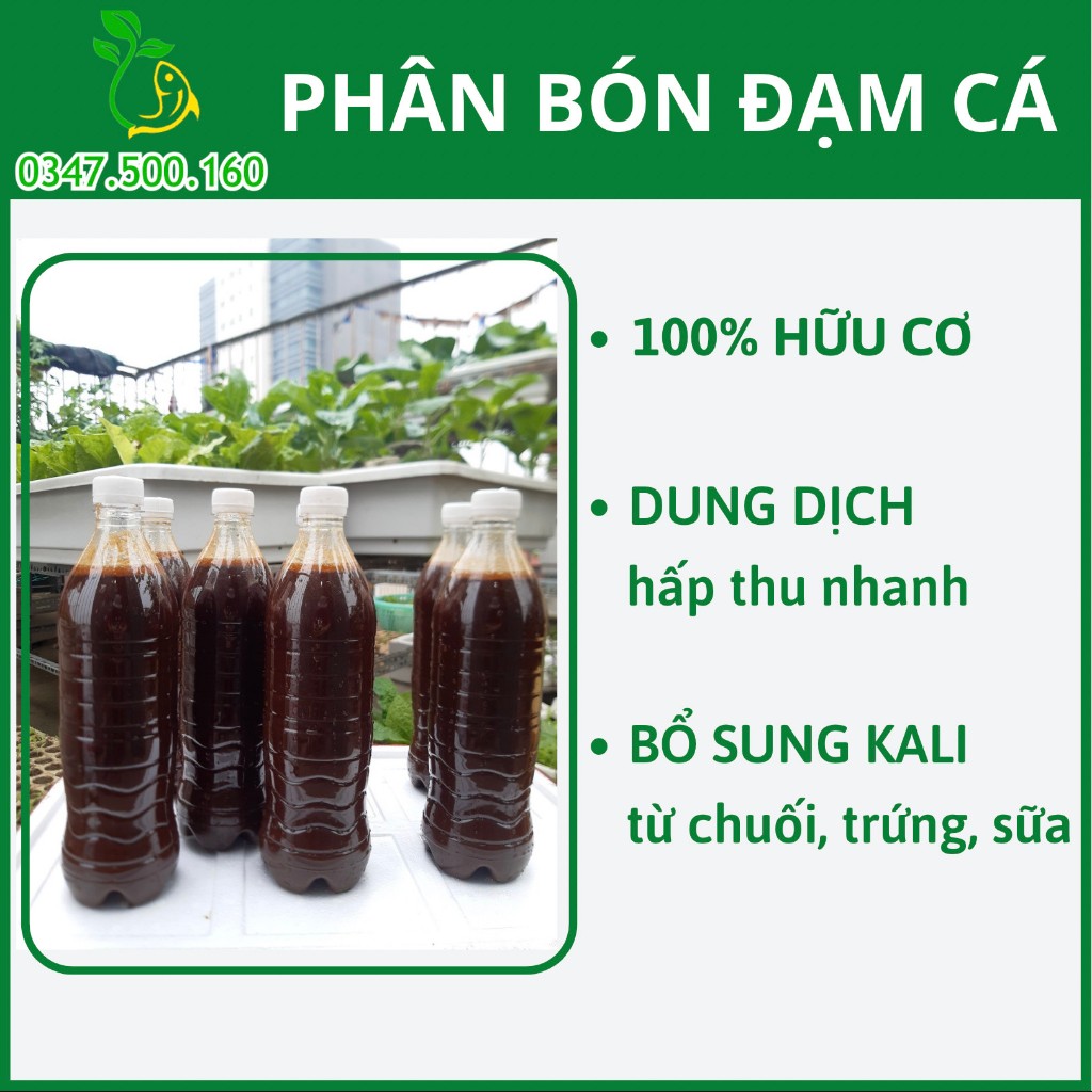 Đạm Cá - Phân Cá Chuối Trứng Sữa - Phân Hữu Cơ Bón Rau, Hoa Hồng, Hoa Lan