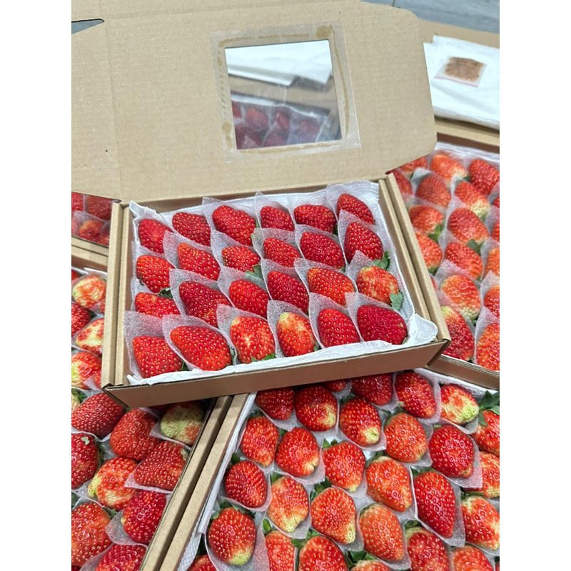 250gr Dâu Nhật Sky ngọt nhiều, chua ít