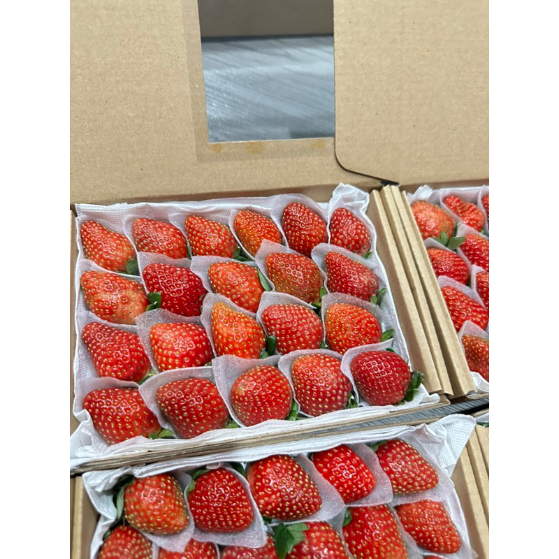 250gr Dâu Nhật Sky ngọt nhiều, chua ít