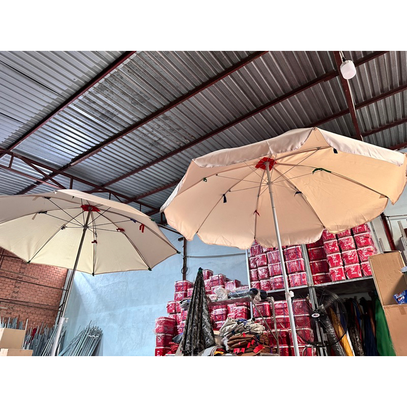 Dù trắng kem dù trang trí sân vườn chưa gồm chân đế