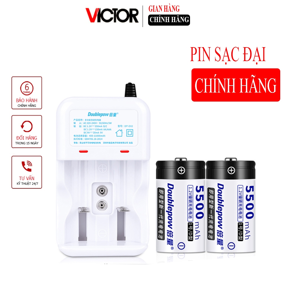 Combo Sạc DP-D02 kèm 02 pin đại cỡ D 5500mAh chính hãng Doublepow