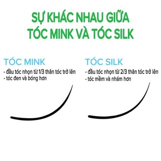 Mi khay (mi nối) SEDUIRE độ cong J (12 hàng), tóc SILK (dụng cụ nối mi)