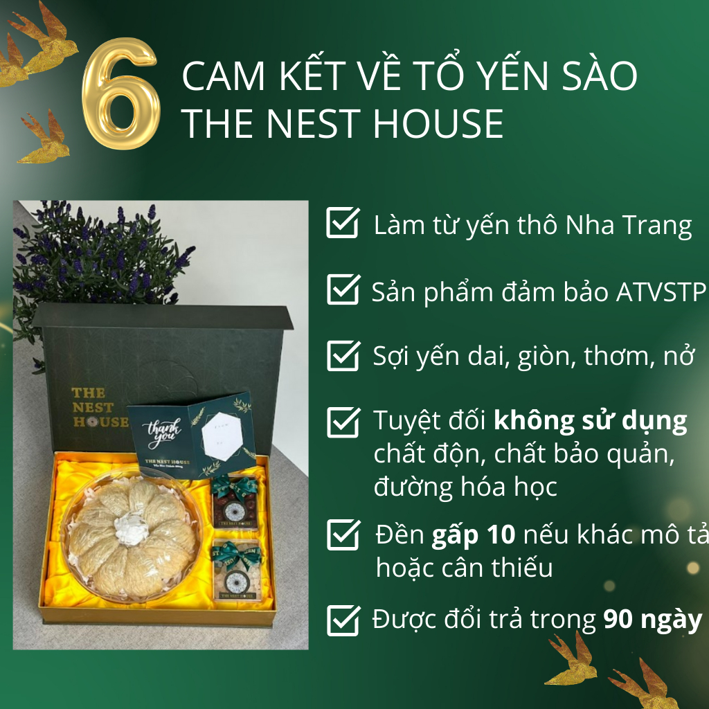 Tổ yến sào tinh chế sợi ngắn nguyên chất Nha Trang Khánh Hòa The Nest House