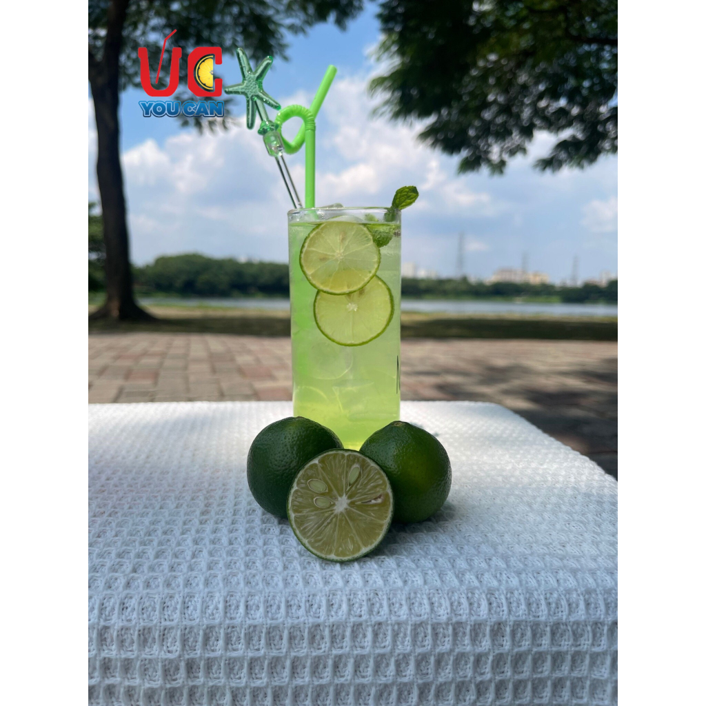 Soda Chanh  Soda UC, Nước Uống Giải Khát Có Sẵn Gas, Không Cần Siro và Nước Có Gas, Đủ Vị, Thơm Ngon